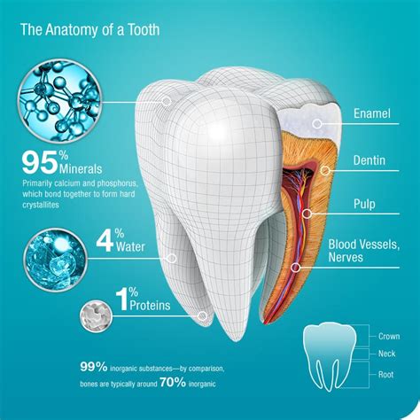 what is tooth enamel chemically